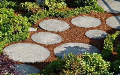 Improve Your Property: 8 Tips for Summer Landscaping