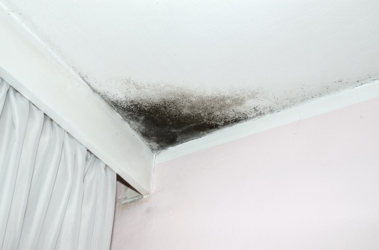 6 Signs of a Plumbing Problem