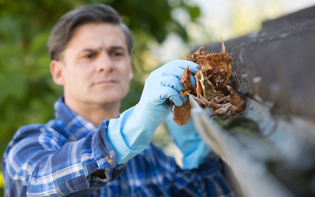 How To Clean Gutters in 6 Easy Steps