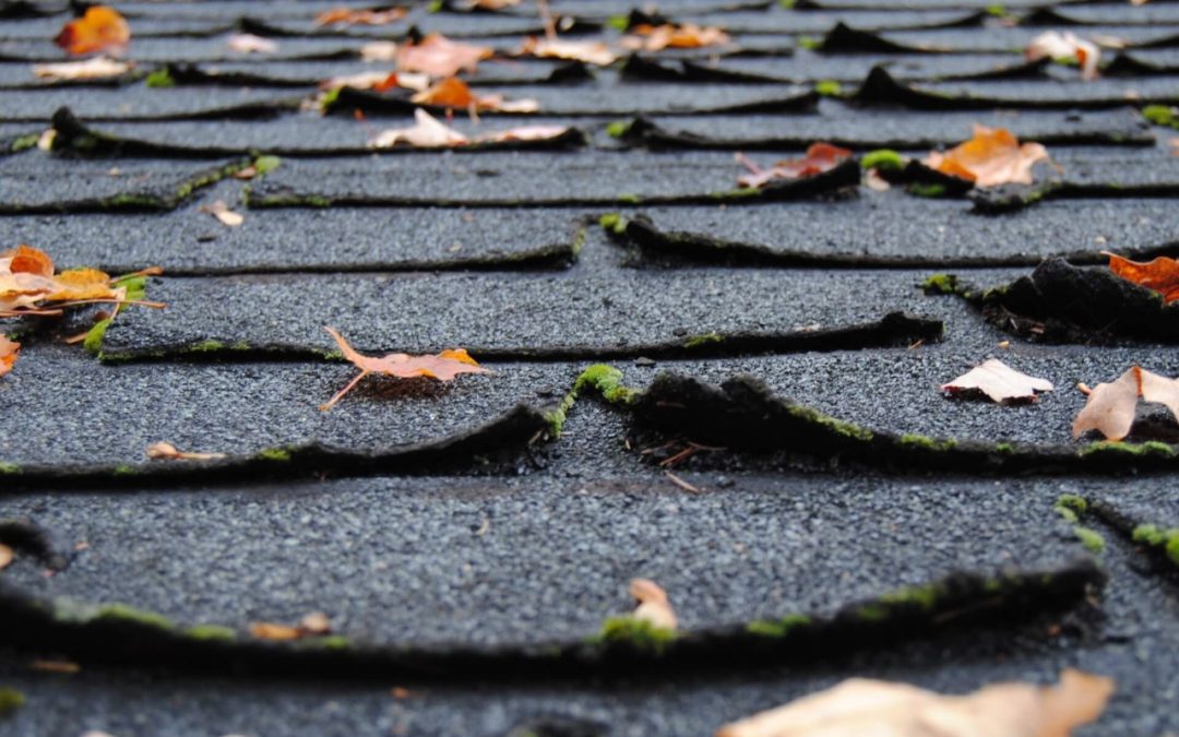 7 Roof Maintenance Tips for Every Homeowner
