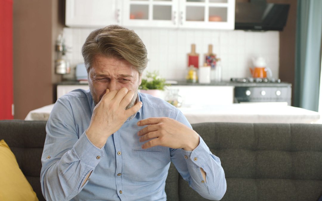 Tackling Unpleasant Odors in the Home